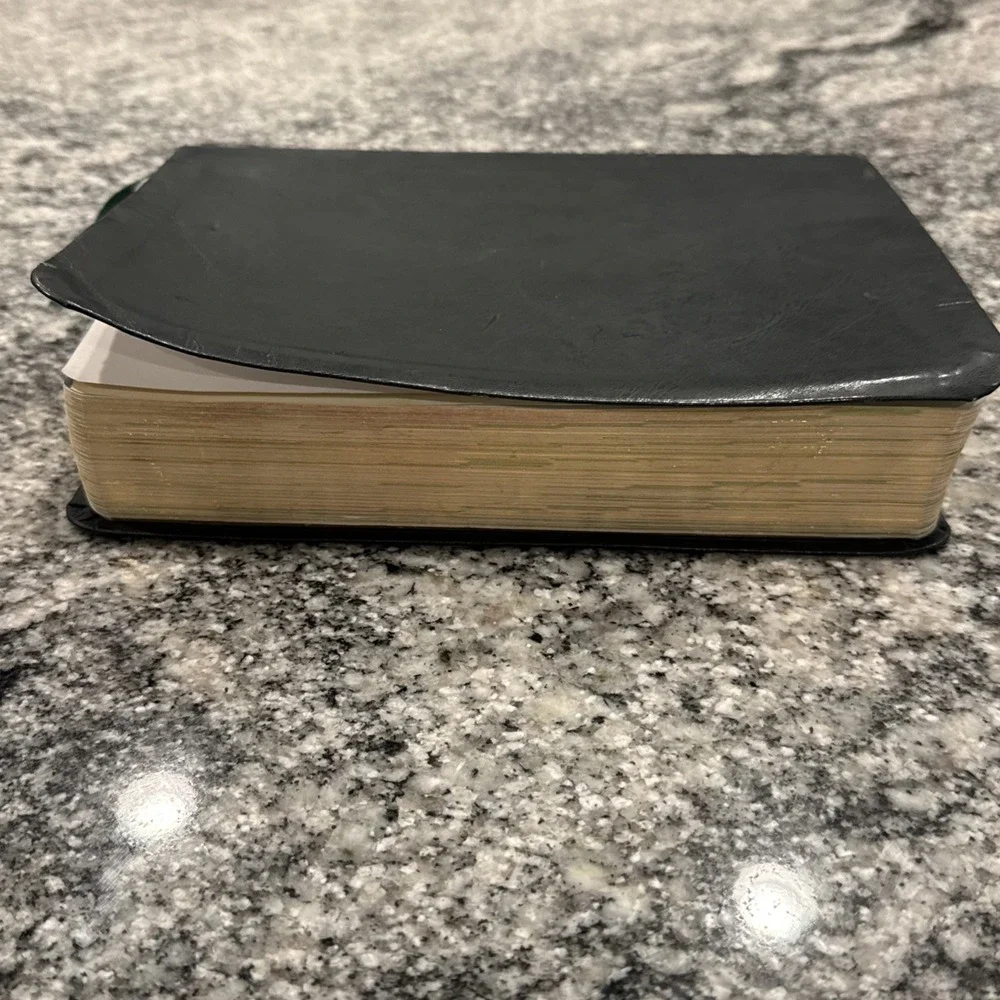 CATHOLIC YOUTH BIBLE--NSRV Catholic Edition-2010 Flexible Leatherette-SUPERB!‎